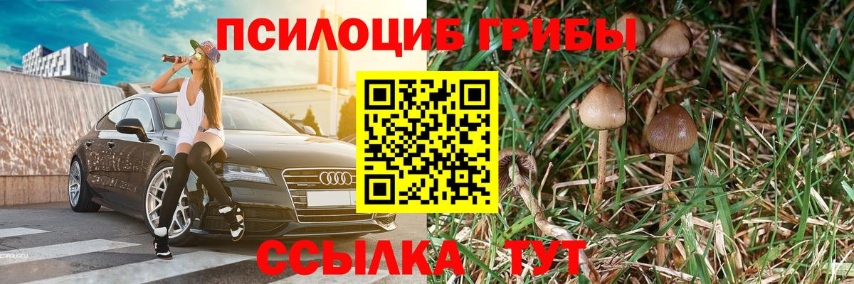 Галлюциногенные грибы MAGIC MUSHROOMS  где купить наркоту  Галлюциногенные грибы прущие грибы  Заринск  Вход с VPN 